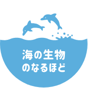 海の生物のなるほど